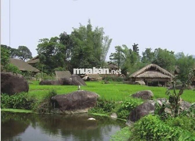 BÁN GẤP 5000m2 ĐẤT MẶT TIỀN TỈNH LỘ 15 - CỦ CHI -TIỀN TỶ TƯƠNG LAI