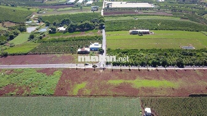 Đất nền ven Đà Lạt - Gần nút giao cao tốc SG-ĐL, Gần Sân Bay- Sổ Riêng