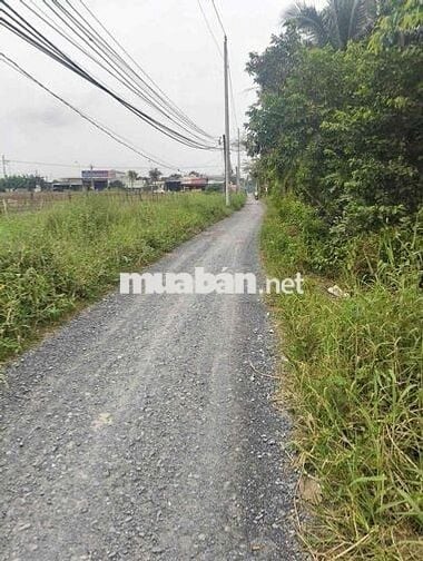 Bán đất Long An - Nhận kí gửi, tìm mua đất