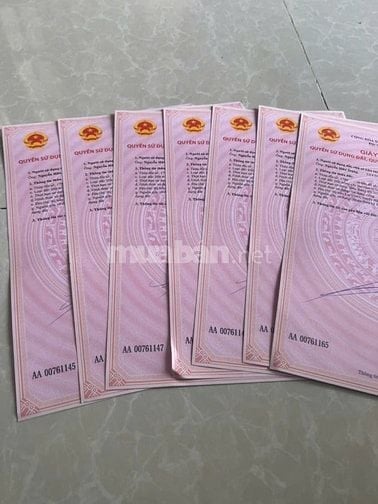 Đường tạo lực Bàu Bàng- Phú Giáo- Tân Uyên- TPHCM