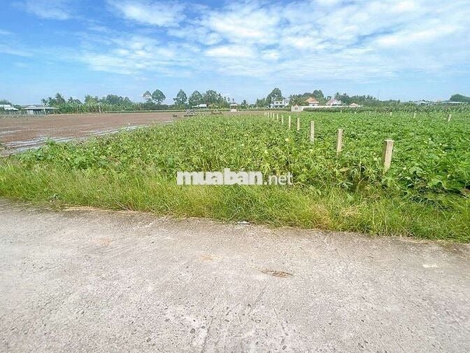 Tôi cần tiền cần bán gấp, giá rẻ nhất khu vực.