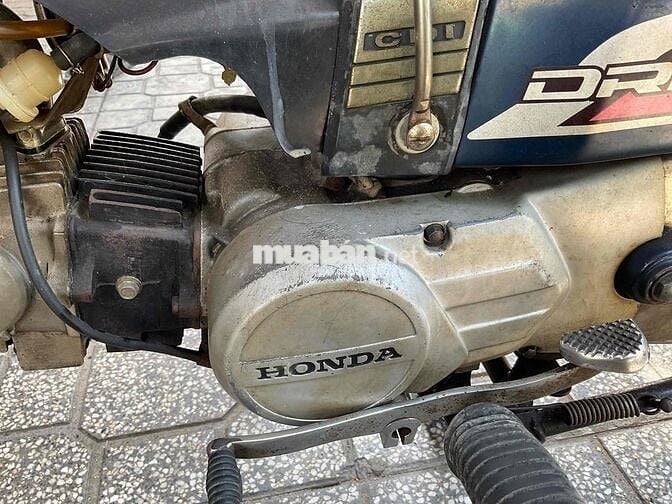 bán dream 1 zin, không đề