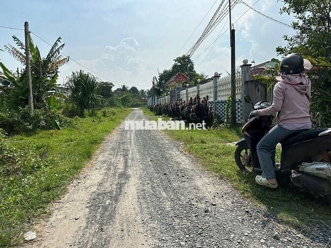 Cần sang nhượng lô đất Mỹ Hạnh, Đức Hoà, DT 299m2, giá chưa tới 1 tỷ