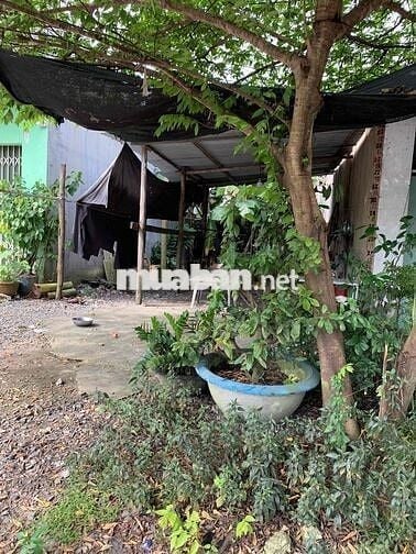 chủ gửi bán lô đất mặt tiền đường quách thị trang kinh doanh tốt