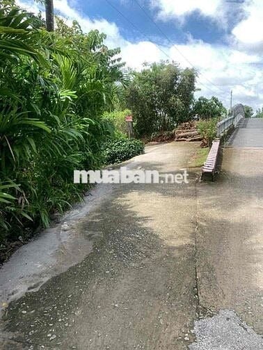 5 Công Đất Ruộng Lộ Ô Tô Cách Chợ Cờ Đỏ 2km