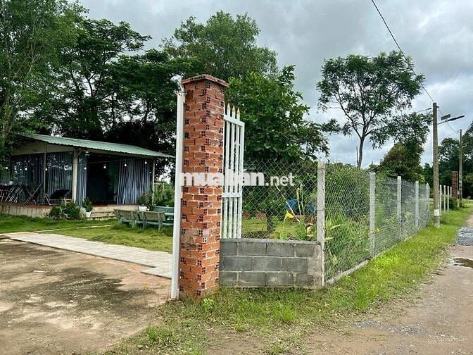 Đất vườn 600m2, làm nhà vườn siêu đẹp, gần chợ, sổ riêng, giá 800tr