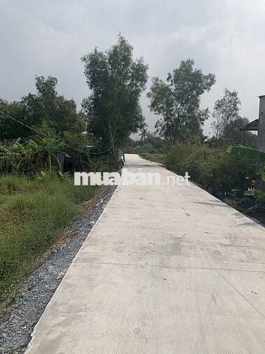 Cần bán đất Bình Chánh - Gần bệnh viện - Thị trấn Tân Túc