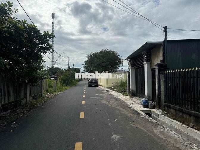 Bán nhà cấp 4, sổ hồng chính chủ, Hồ Tràm, TPHCM