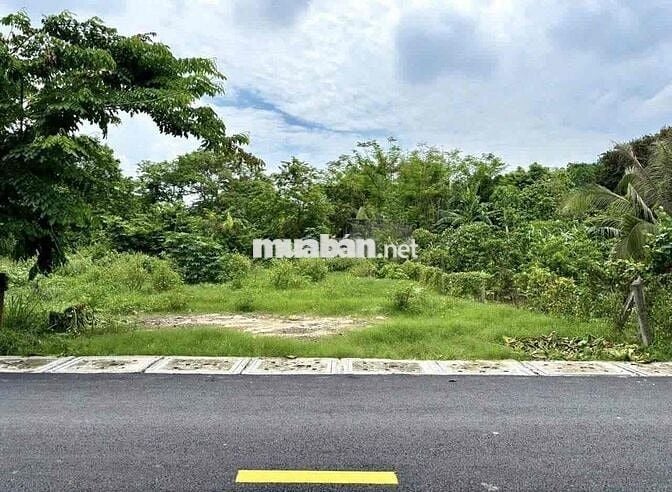 BÁN ĐẤT MẶT TIỀN NGUYỄN VĂN NI – CỦ CHI Giá chỉ 620 triệu – Sổ sách rõ