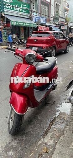 Elizabeth đỏ đô đẹp