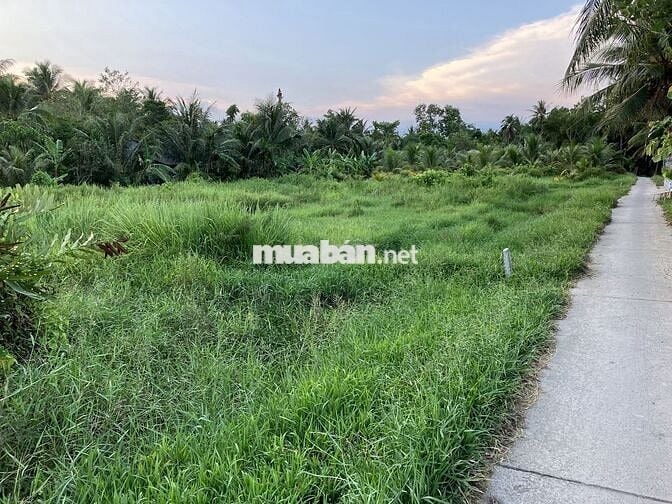 Đất đẹp gần kcn an hiệp châu thành bến tre