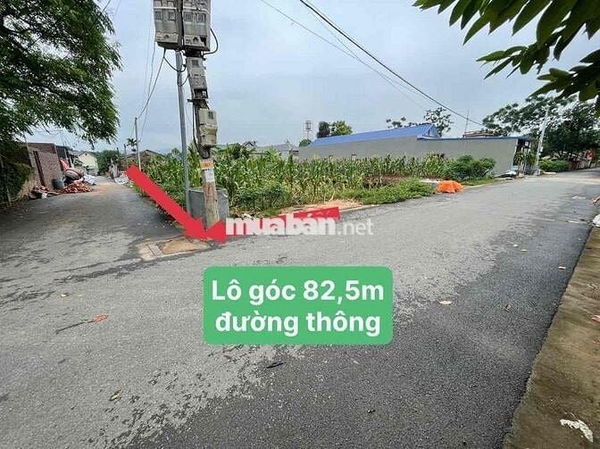 CC CẦN BÁN TRỤC CHÍNH PHÚ CÁT GIÁ NGỘP BANK