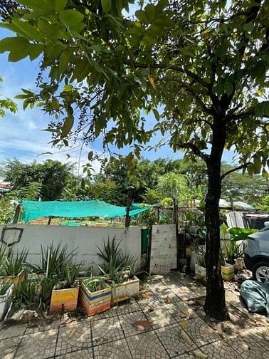 Bán Đất nền thổ cư, Đường Đồng văn cống, Q2 kế bên đảo Kim cương