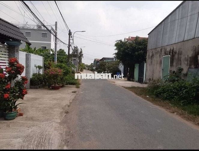 Nhà gần đường lớn, trường,chợ và nhiều tiện ích