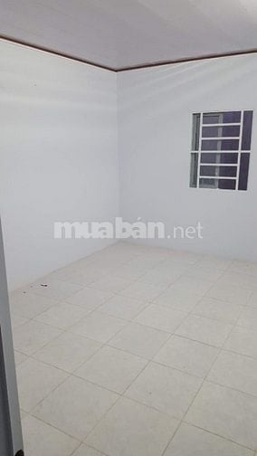 **** HOT HOT HOT **** Bán nhà đường Bùi Tư Toàn, 3 căn liền kề giá rẻ