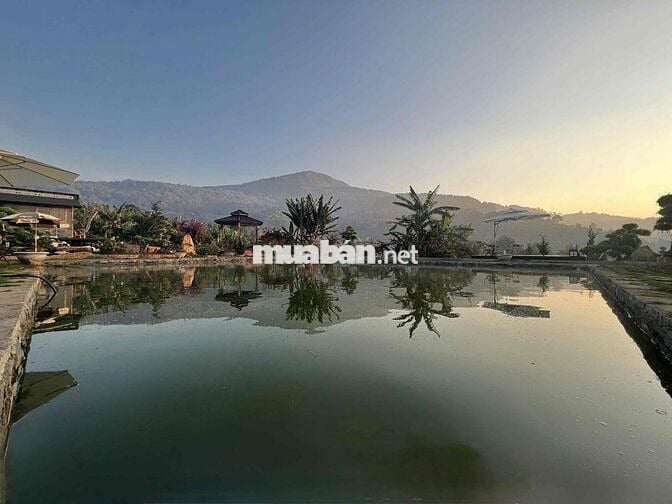 Làm ăn thua lỗ bán gấp lô đất tặng nhà có sẵn sân vườn view hồ Đà Lạt