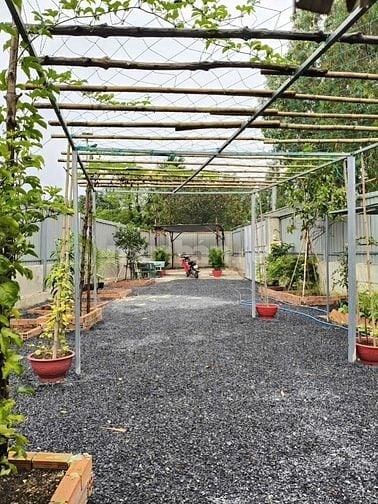 🌴 BÁN ĐẤT VƯỜN NGHỈ DƯỠNG – GIÁ CHỈ 1 TỶ 850 – SỔ ĐỎ RIÊNG