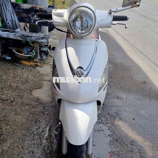 Atilt alyzabet Fi tiếc kiệm xăng biển 65 máy êm ru