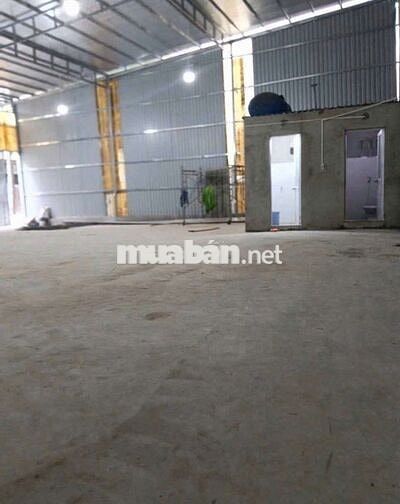 Cho thuê xưởng đường TTH21. Phường TTH. Quận 12