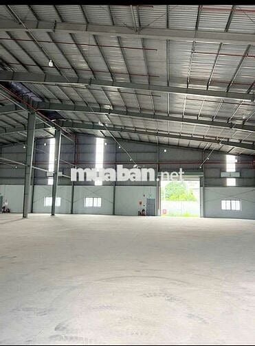CHO  THUÊ  KHO  XƯỞNG ( 1000m2) PHƯỜNG  HIỆP  TÂN. QUẬN  TÂN  PHÚ