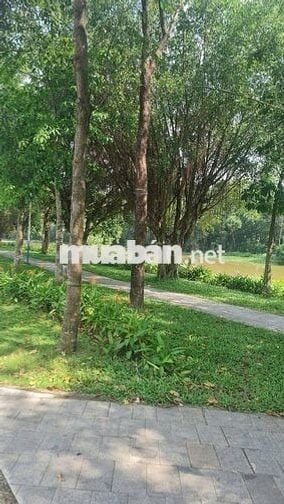 ĐẤT NỀN VIEW SÔNG THỊ TÍNH NGAY TRƯỜNG ĐẠI HỌC VIỆT ĐỨC