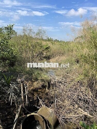 BÁN ĐẤT ĐẸP GẦN RẠCH PHƯỚC LONG – NHÀ BÈ