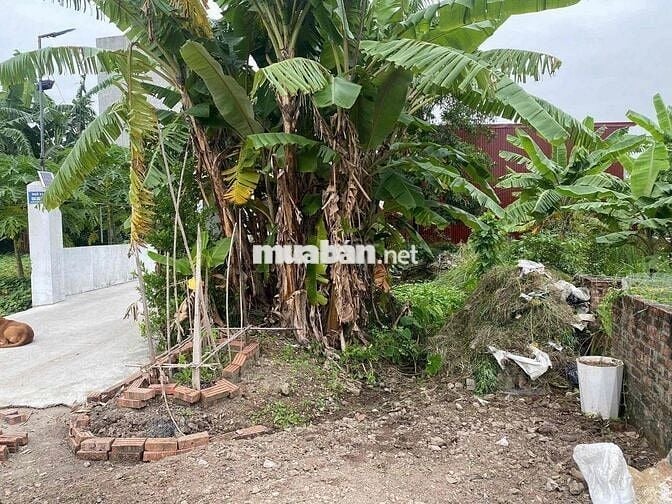 Đất 130m2 ngang 5m nở hậu MT đường 7m Trang Quan, An Đồng