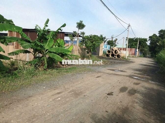 💥CHÍNH CHỦ BÁN GẤP 1150m2 ĐẤT VƯỜN BÌNH LỢI 💥