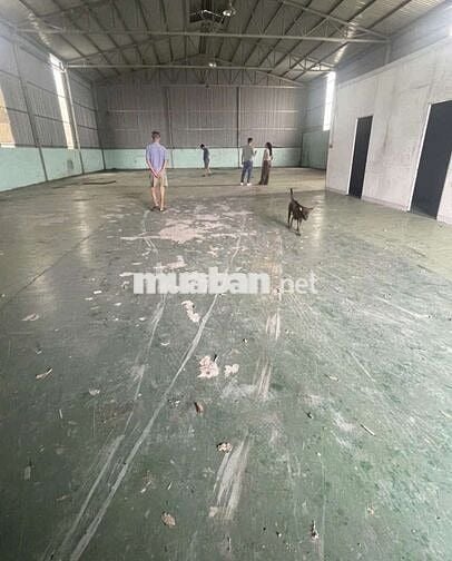 CHO THUÊ KHO,XƯỞNG 330M² GIÁ 20TR/T, HẺM 6m LÊ TRỌNG TẤN