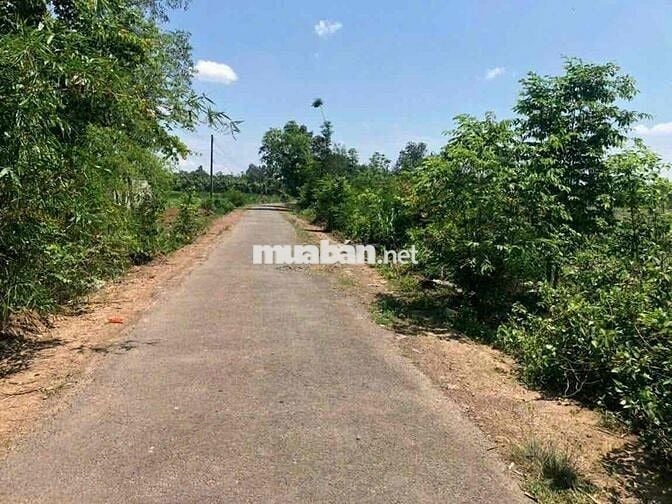 Bán lô đất mặt tiền đường suối cao 2ha7, giá 400tr/ sào