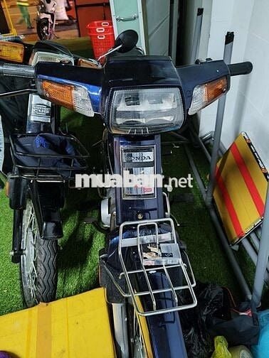 Cần Bán dream thái