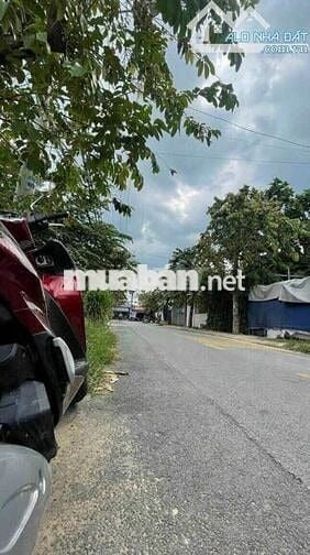 Bán gấp lô đất 140m2 mặt tiền Cây Trôm Mỹ Khánh giá 1 tỷ 2
