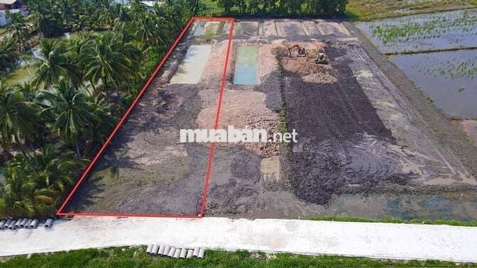 Chính chủ gửi bán 1500m² đất thổ vườn tại Gò Dầu –  Giá chỉ 1,3 tỷ!