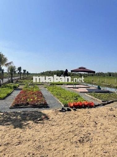 CHỦ CẦN TIỀN BÁN GẤP LÔ ĐẤT VƯỜN 1200M2 GÒ DẦU TÂY NINH