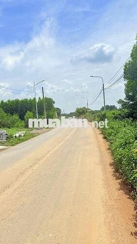 Gia Đình cần bán lô đất ngay đường Ông Binh, P, Tân Triều