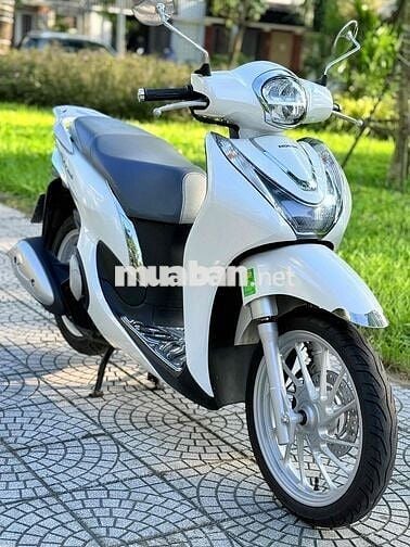 Sh mode 11.2024 nguyên rin 100%