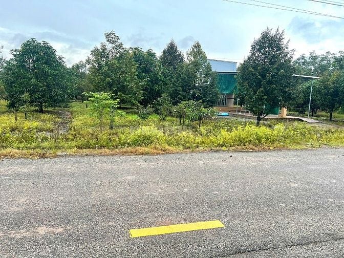 Bán Vườn Sầu Riêng có nhà cấp 4, Giá 580 Triệu, Rộng 1000m2 thổ cư sẵn