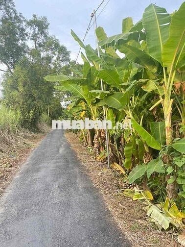 Lộ Đang Mở Rộng . Rẻ Nhất Khu vực ( Cạnh 22 cạnh 11 )