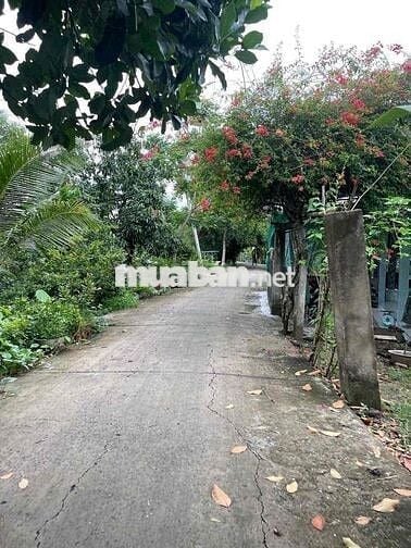 nền nhỏ tích hợp cho vợ chồng trẻ ra riêng