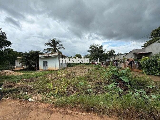 💢 LÔ ĐẤT GÓC 2 MẶT TIỀN – A3 + B5, Thôn 4 Phạm Ngũ Lão !!
💰 💰..