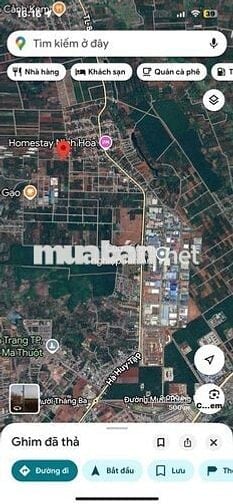 đất ngã 3 cây phượng Cưsue ngay khu công nghiệp Tân An