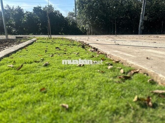 Cần sang nhanh miếng đất 250m2 nằm trên MT đường DH nhựa 32m ngay TTHC