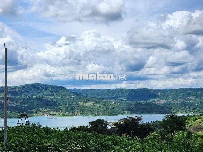 Liên Hà 1000m2, có 200m2 thổ cư xây nhà - xây view