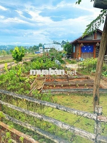 🌿 "600 TRIỆU – MUA MỘT MẢNH ĐẤT 1000M@, NHẬN LẠI CẢ BÌNH YÊN TẠI ĐN"