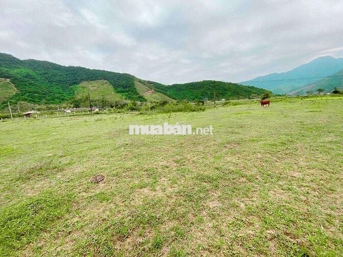 Bán lô đất 6700m2, view sông, Thôn Nam Yên & An Định, Hòa Bắc, 5.45 tỷ