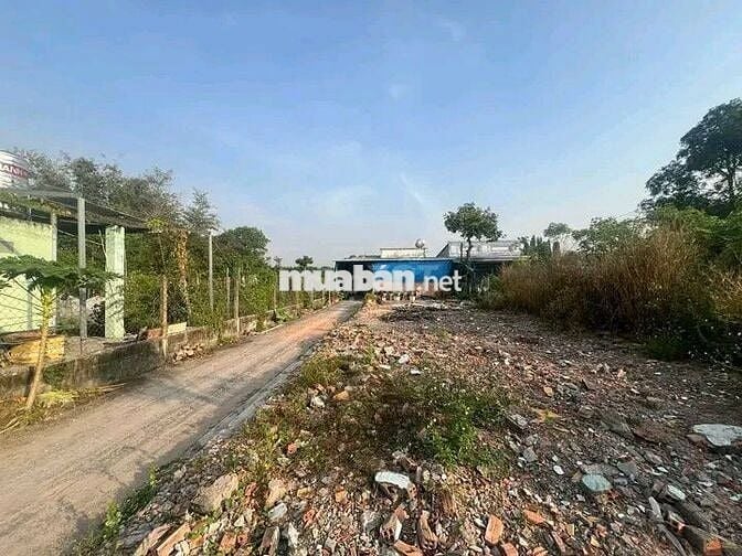 Cần Tiền Bán Gấp Lô Đất MT Đường Bê Tông Thông