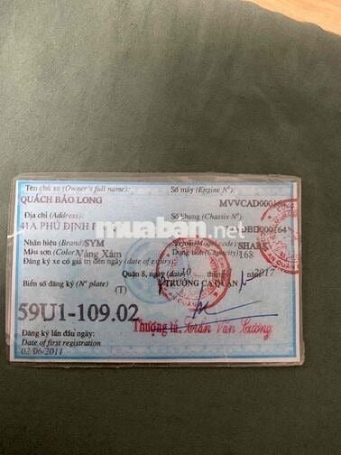 shark 170 hàng hiếm 2 đĩa