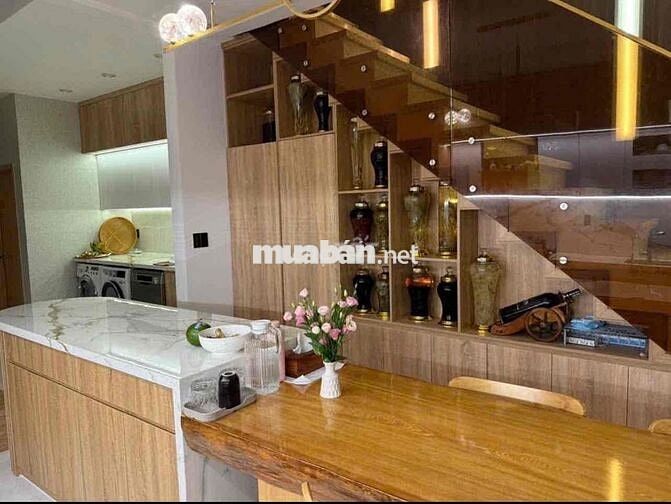 Bán nhà vip mới Hoà xuân đẳng cấp sinh thái pro