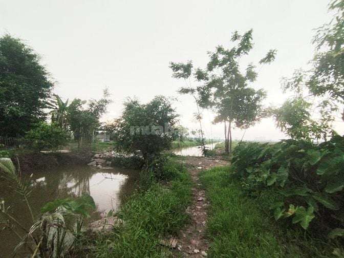 Chính chủ bán 1.100 m² đất nền làm homestay tại Đại Thanh, Tam Hiệp