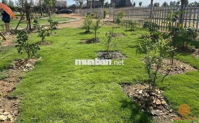 KẸT TIỀN BÁN GẤP ĐẤT THỔ CƯ GIÁ RẺ